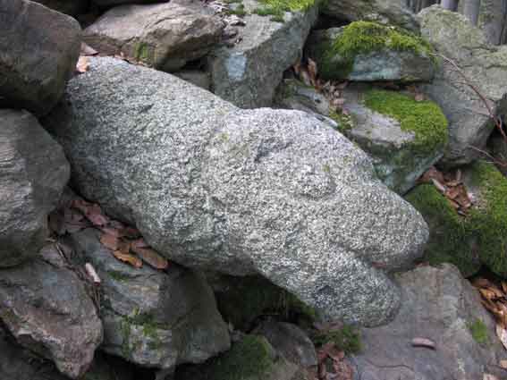 Hlava kamenného hada