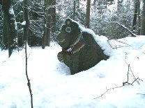 Medvídek v zimě